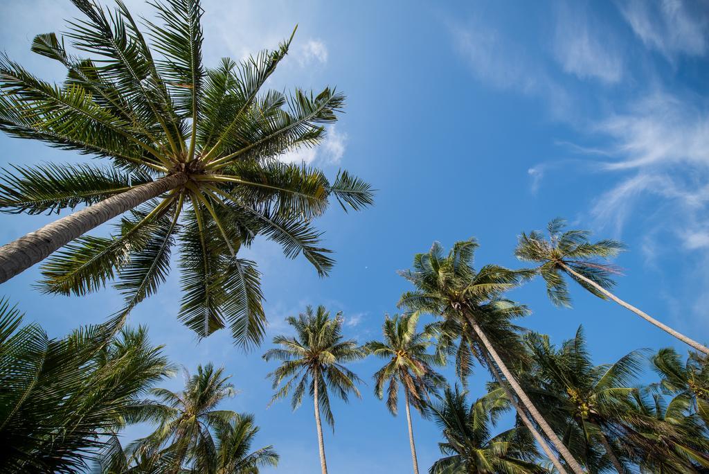 Seavana Koh Mak Beach Resort Dış mekan fotoğraf